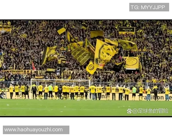 多特蒙德亲承曾考虑离开球队但最终选择继续留下并作为核心发展 多特蒙德亲承曾考虑离开球队但最终选择继续留下并作为核心发展